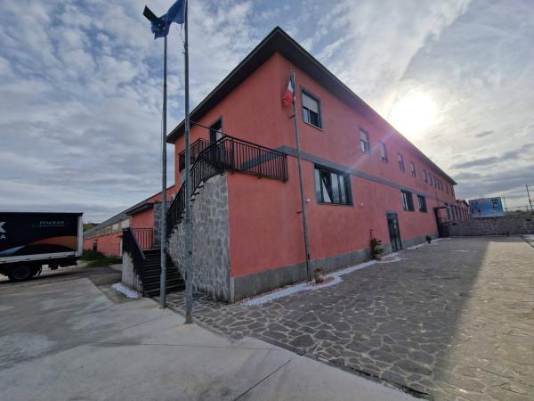 Capannone in Svincolo Attigliano, Attigliano, {3} - Foto 2