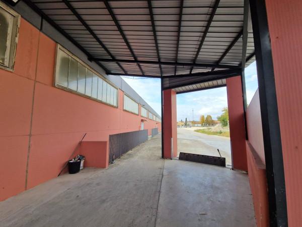 Magazzino in Svincolo Attigliano, Attigliano, {3} - Foto 2