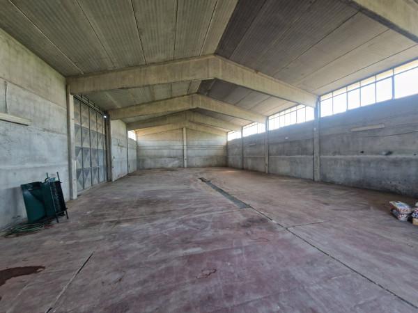 Magazzino in Via della Muratella, Fiumicino, {3} - Foto 2