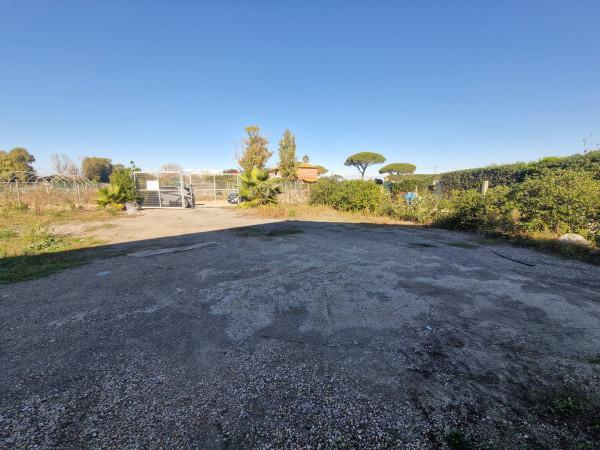 Magazzino in Via della Muratella, Roma, {3} - Foto 2
