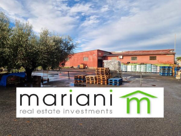 insertion image