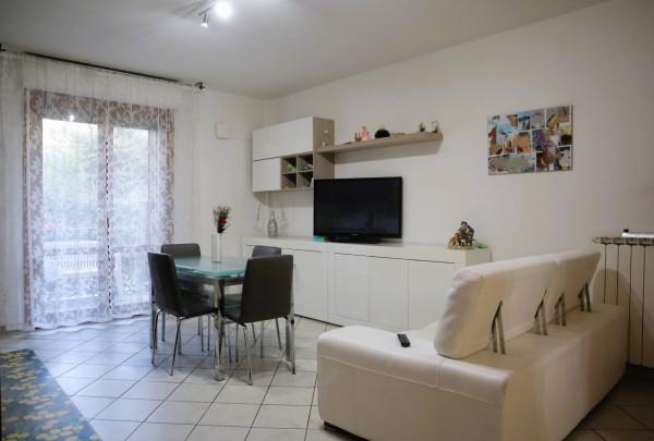 immagine annuncio 1 di 12