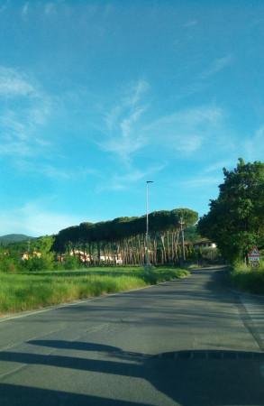 Negozio in Località Agazzi, Arezzo, {3} - Foto 1