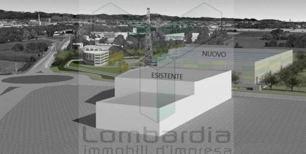 immagine annuncio 4 di 9