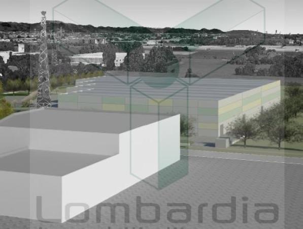 immagine annuncio 7 di 9