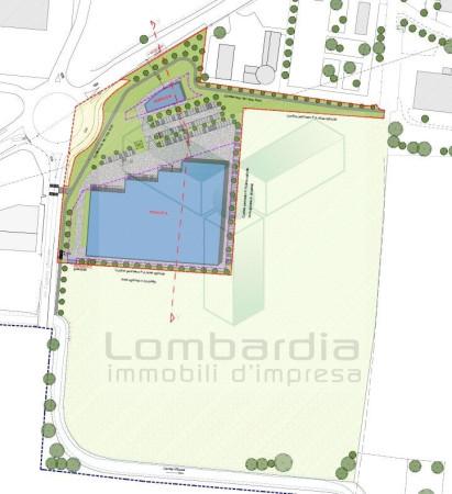 immagine annuncio 3 di 9