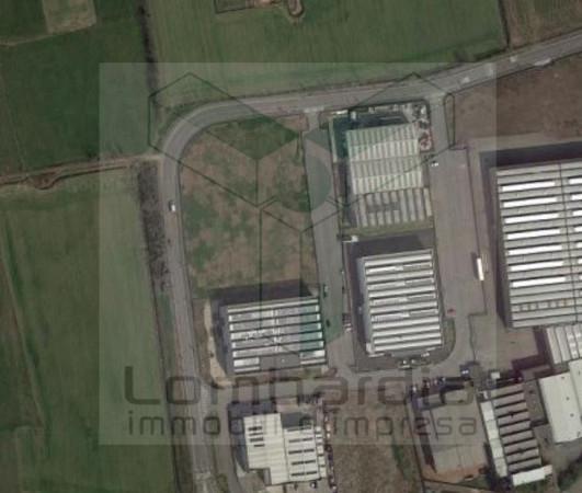 insertion image