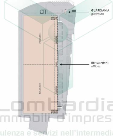 Capannone in Via Guido Rossa, Pandino, {3} - Planimetria 1