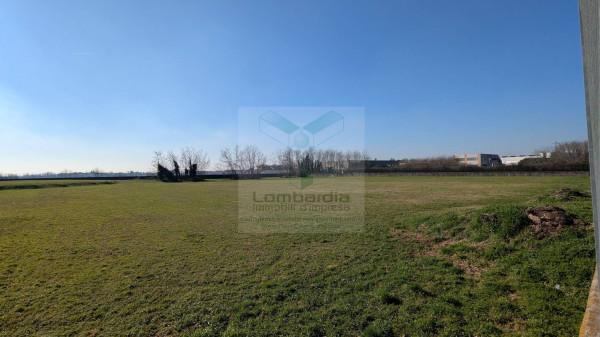 Capannone in Via Umbria, Grezzago, {3} - Foto 2