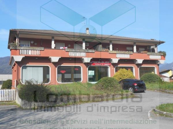 insertion image