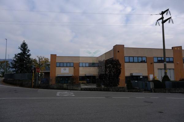 insertion image