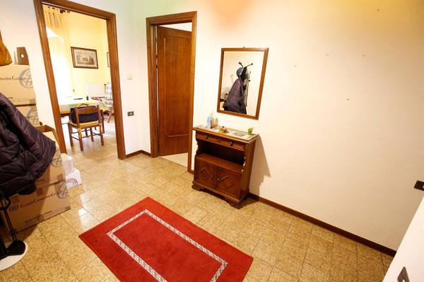 immagine annuncio 5 di 11