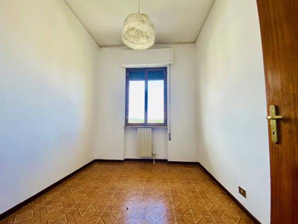 immagine annuncio 5 di 14