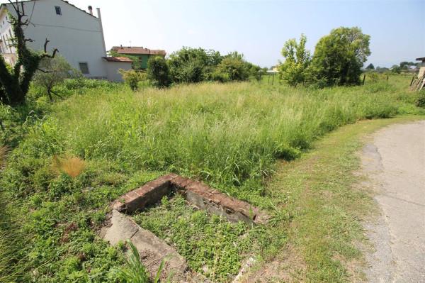 immagine annuncio 5 di 7