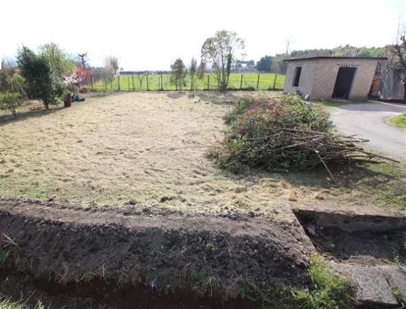 immagine annuncio 2 di 11