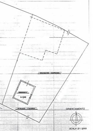 immagine annuncio 6 di 11