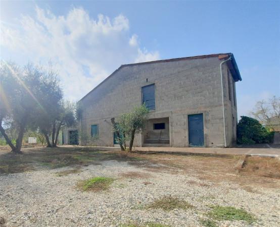 immagine annuncio 3 di 9