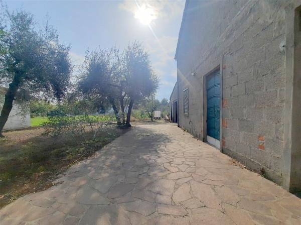 immagine annuncio 7 di 9