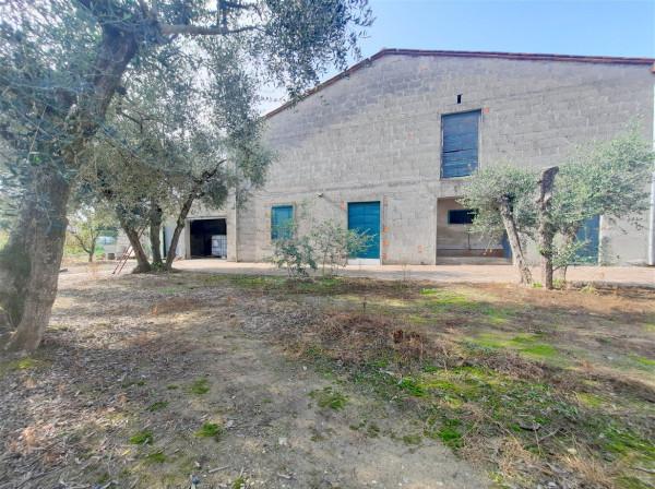 immagine annuncio 4 di 9