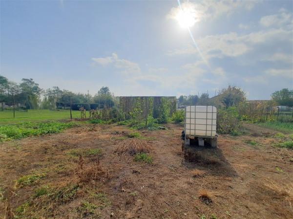 immagine annuncio 6 di 9