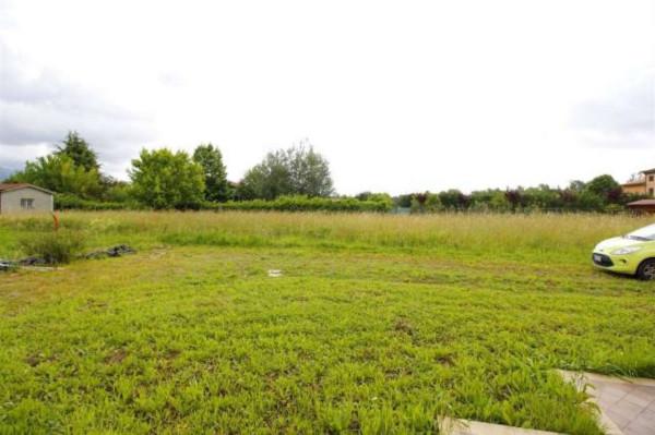 immagine annuncio 10 di 11