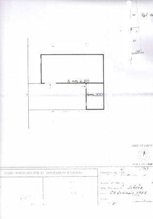 Capannone in Via delle Rose, Lucca, {3} - Planimetria 1