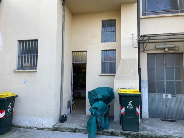 immagine annuncio 11 di 14