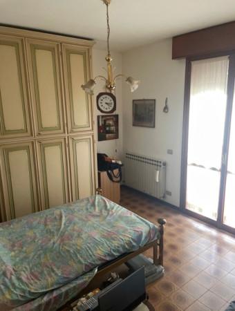 immagine annuncio 7 di 14