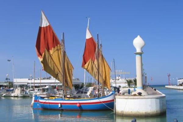 immagine annuncio 6 di 8