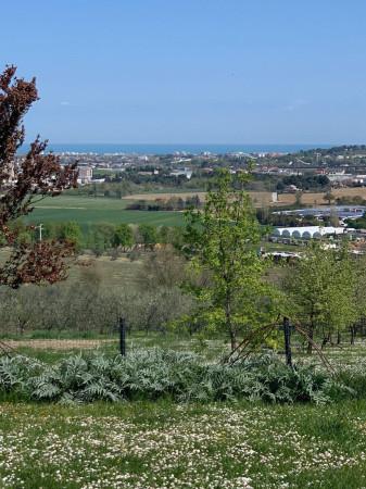 immagine annuncio 3 di 7