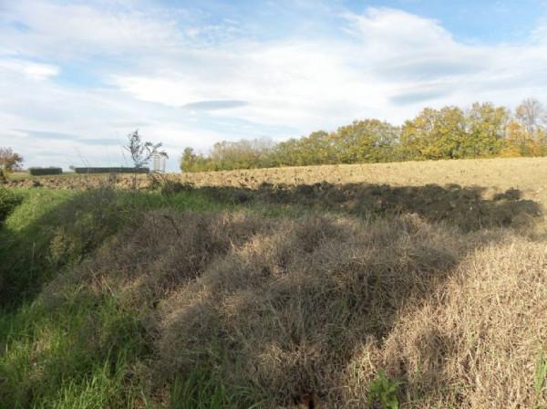 immagine annuncio 3 di 8