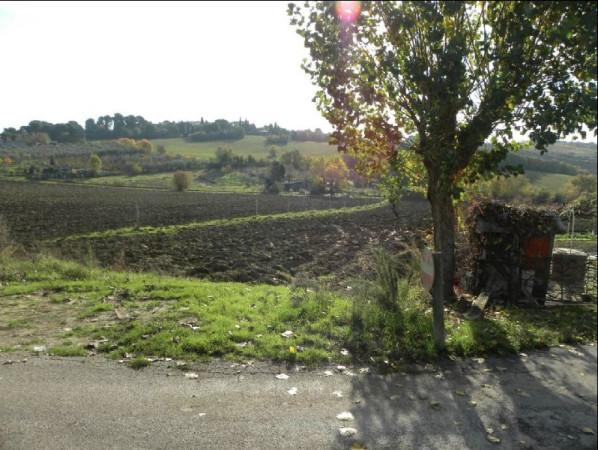 immagine annuncio 6 di 8