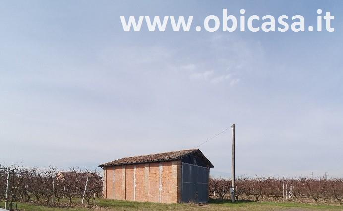 immagine annuncio 3 di 6