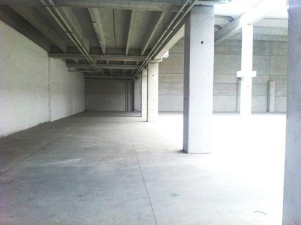 insertion image
