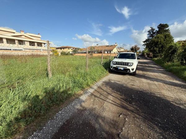 immagine annuncio 6 di 8