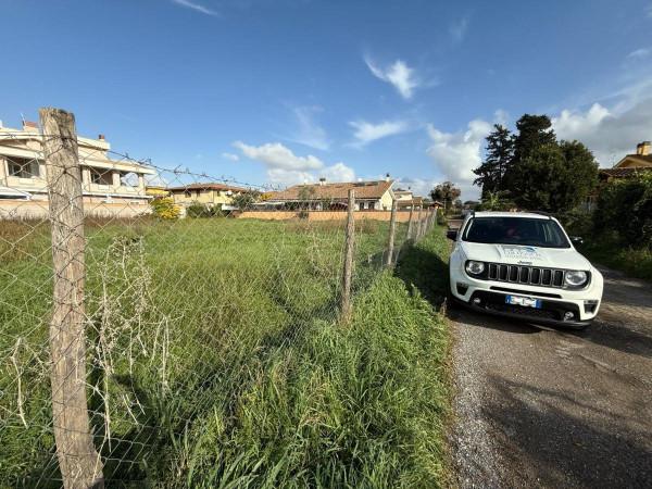 immagine annuncio 5 di 8
