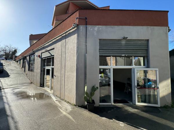 Magazzino in Via Mura dei Francesi, Ciampino, {3} - Foto 2