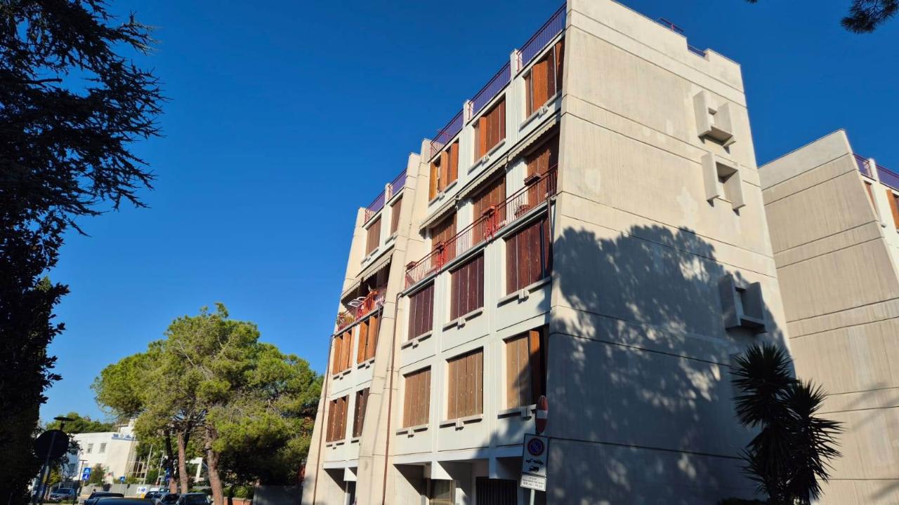 immagine annuncio 12 di 14