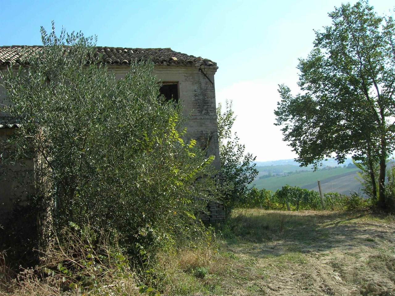 immagine annuncio 5 di 7