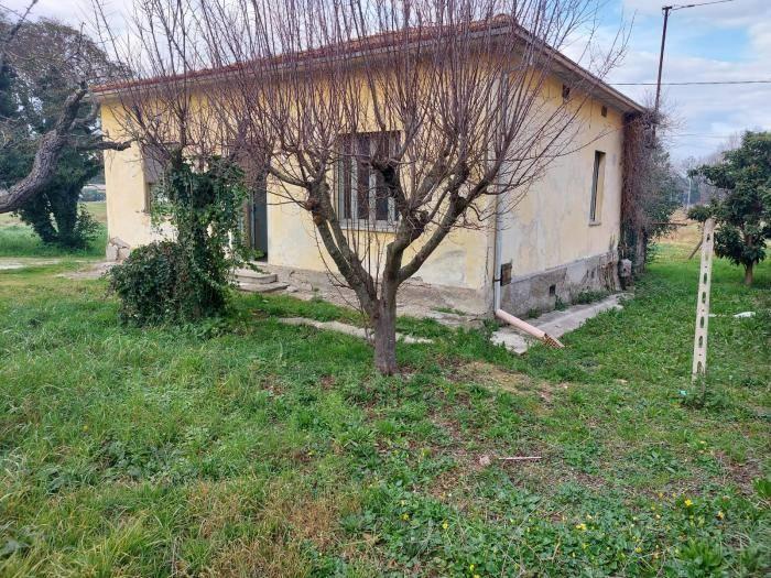 immagine annuncio 1 di 9