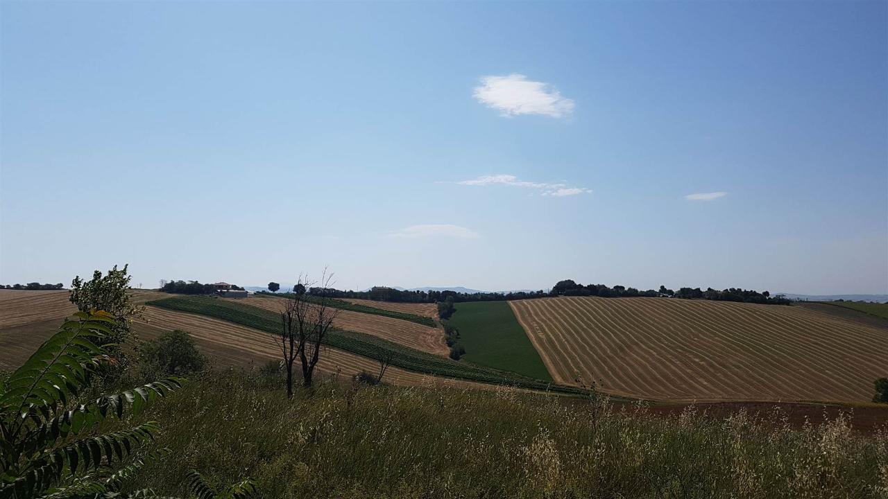 immagine annuncio 6 di 8