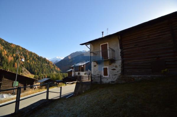 immagine annuncio 3 di 8