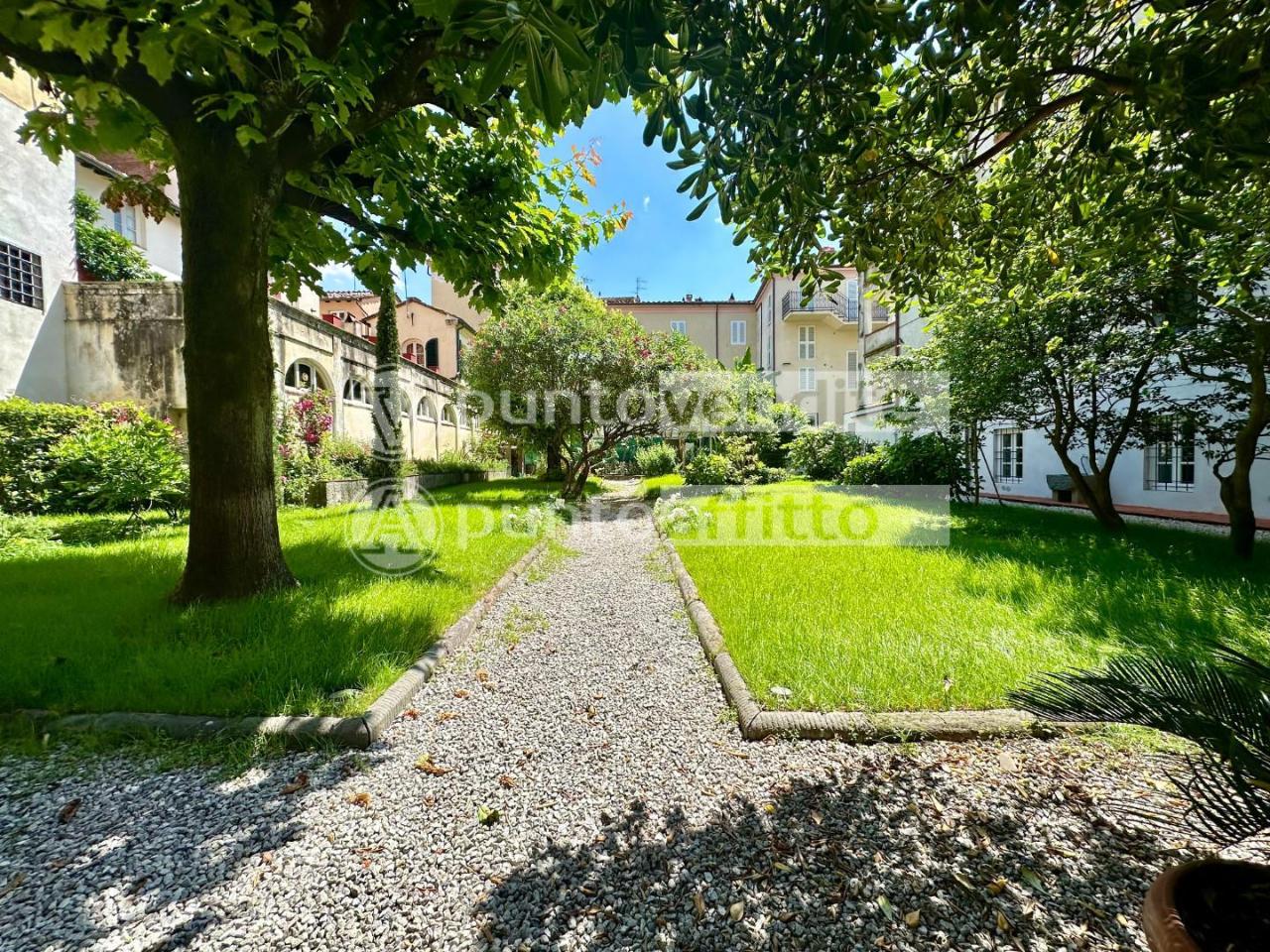 Appartamento in affitto a Lucca