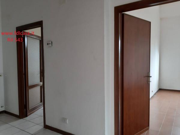 immagine annuncio 6 di 11