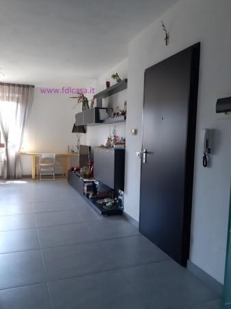 immagine annuncio 5 di 12