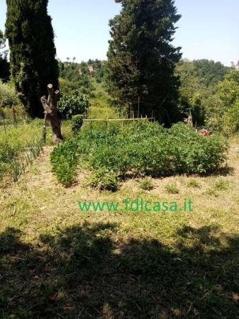 immagine annuncio 12 di 13