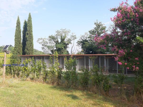 immagine annuncio 5 di 6