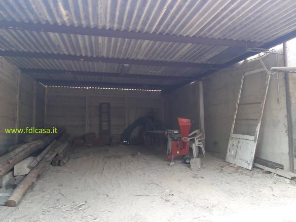 immagine annuncio 5 di 11