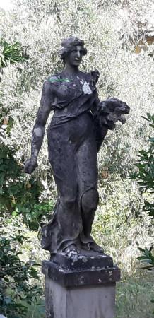 immagine annuncio 12 di 14