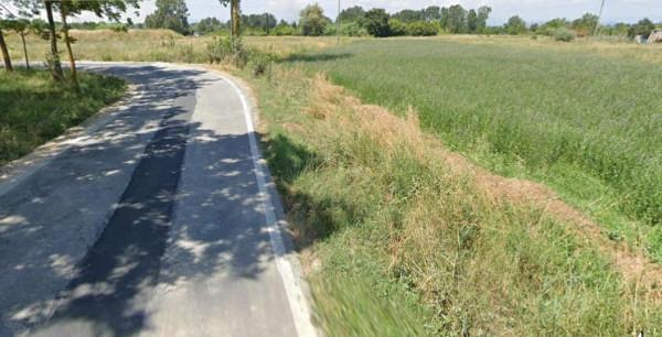 immagine annuncio 1 di 2